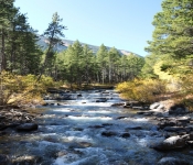 2020 10 05 Montana 014